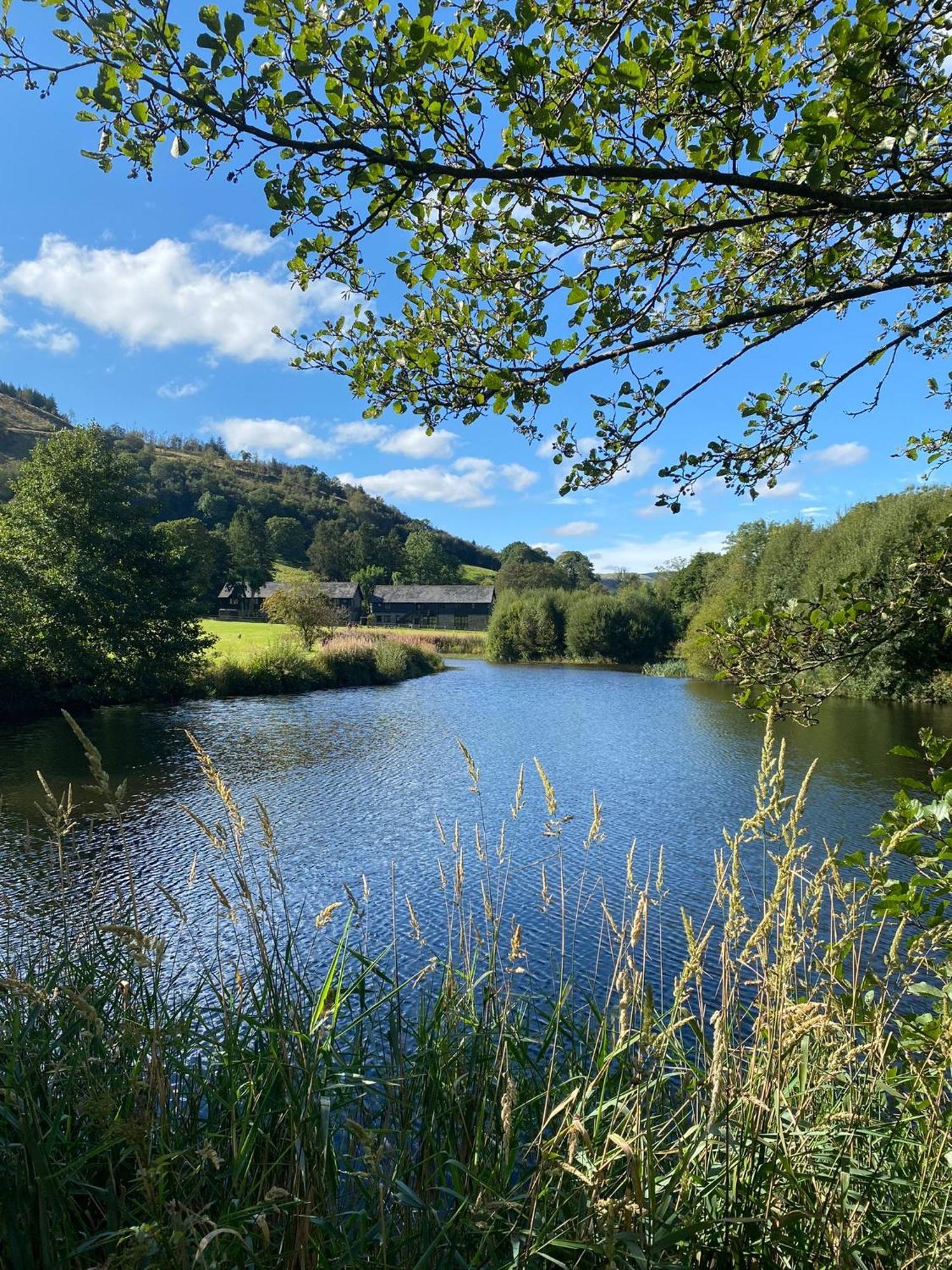 Lake Cottages At Cwm Chwefru Llanafan-fawr Dış mekan fotoğraf